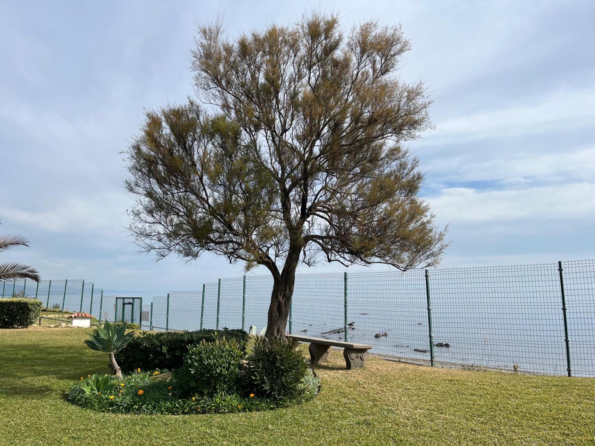 Premium Luxury-Casares Del Mar-Seaside Apartment Bahia de Casares Zewnętrze zdjęcie